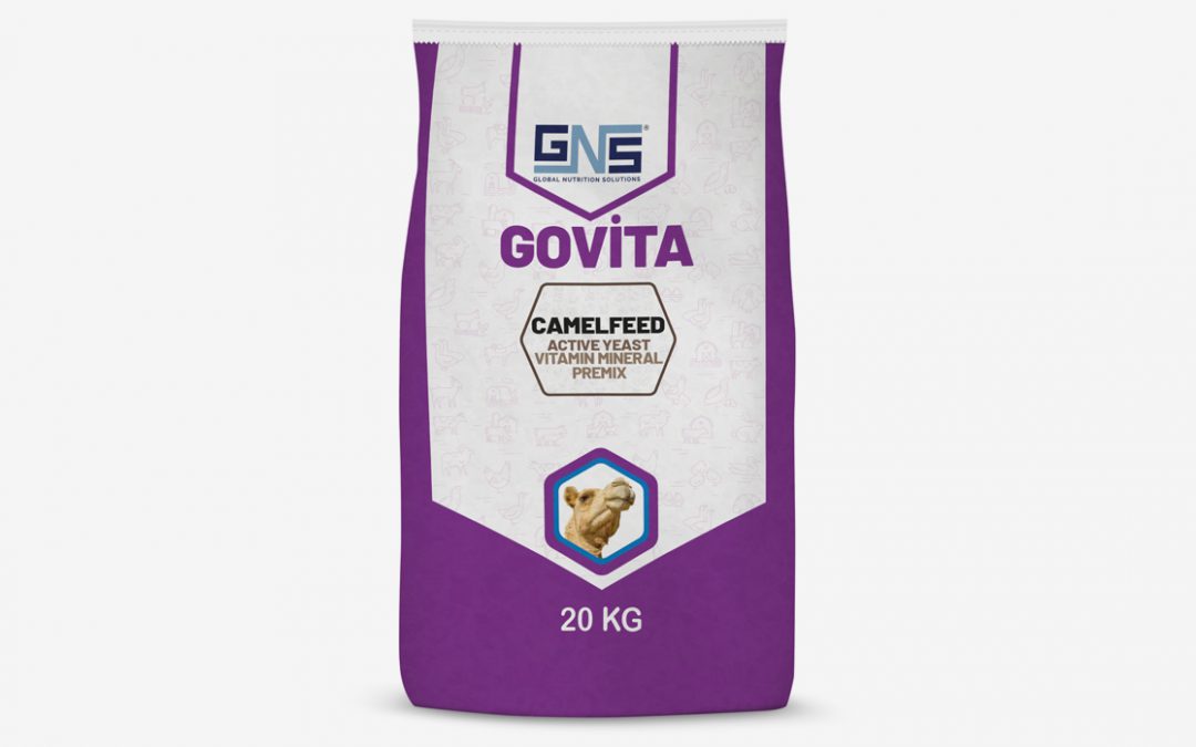 GOVITA CAMEL FEED