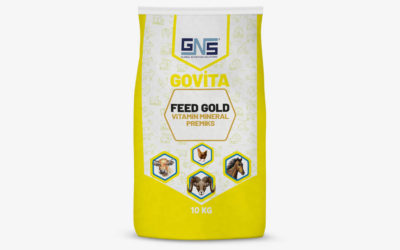 GOVITA FEED GOLD