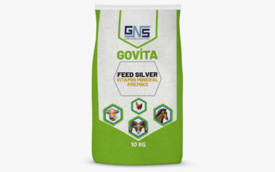 GOVITA FEED SILVER