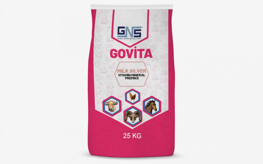 GOVITA MILK SILVER