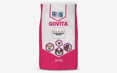 GOVITA MILK SILVER