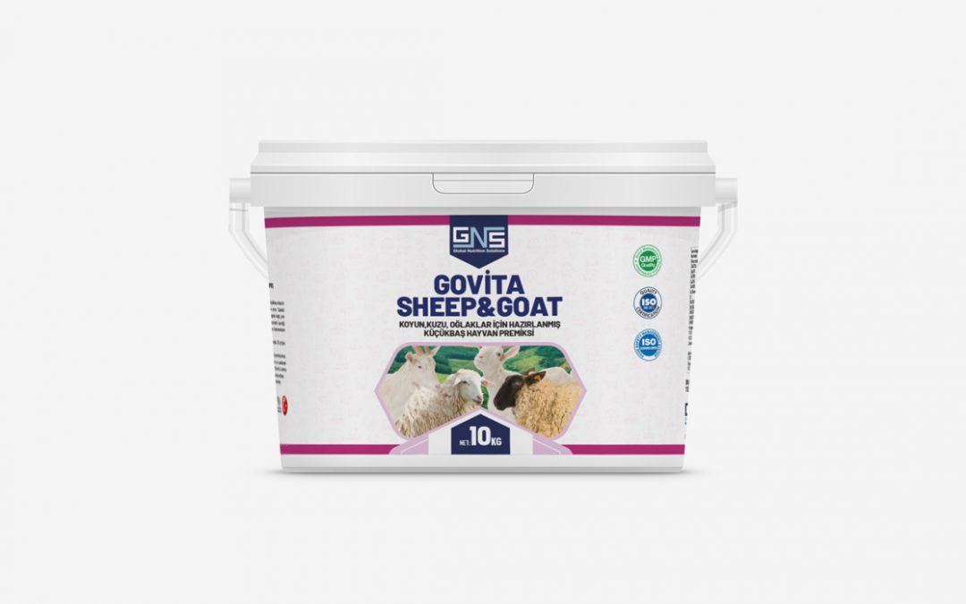 GOVITA SHEEP & GOAT