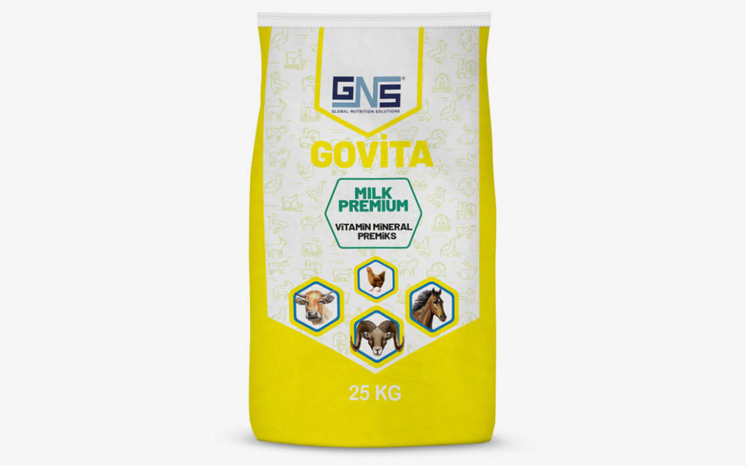 GOVITA MILK PREMIUM