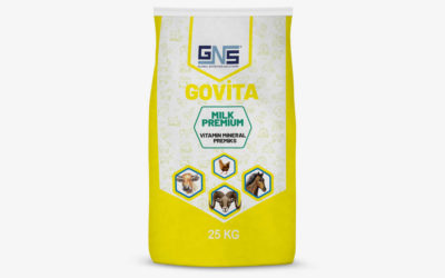 GOVITA MILK PREMIUM